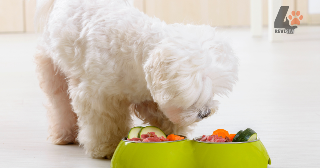 Quando posso dar alimentação caseira para meu cachorro (2)