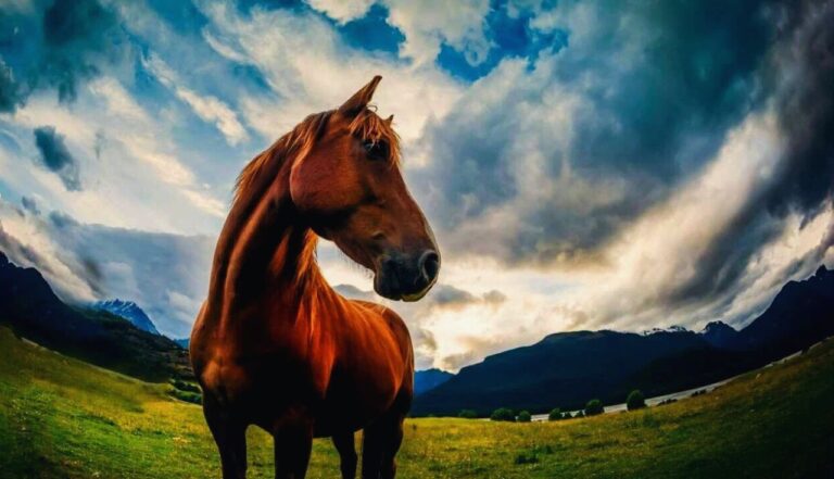 Importância da Vacinação em Cavalos (1)