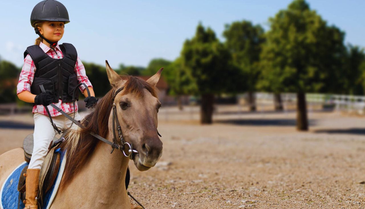 os Benefícios dos Cavalos na Educação e Saúde de Crianças (2)