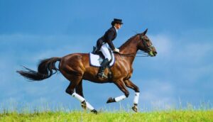 Diferenças Entre Cavalos de Corrida e de Passeio.2